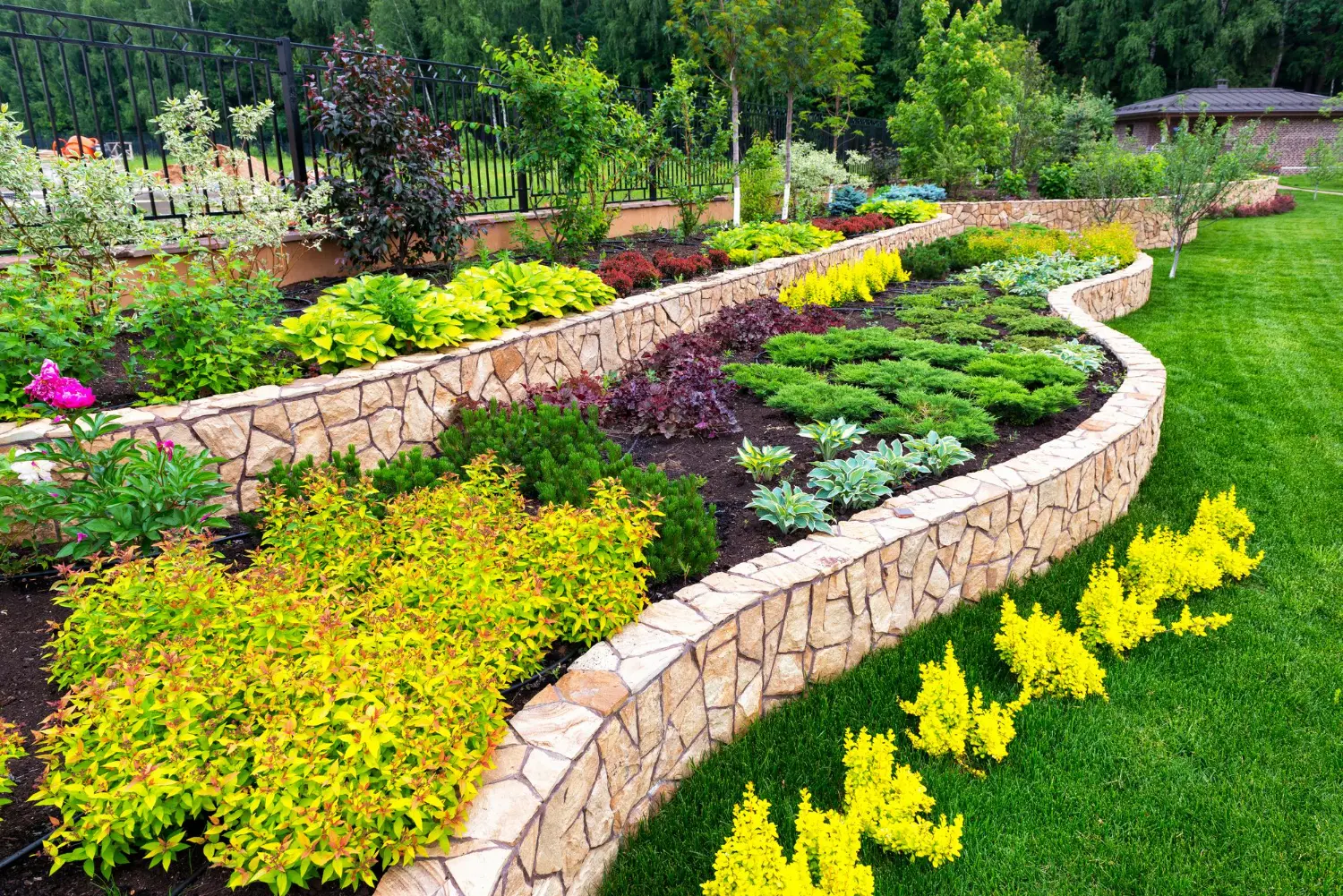 Retaining Wall & Planted Terraces